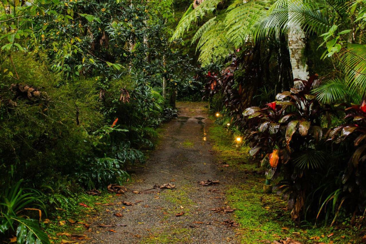 Quarto Varanda - Residencia Gaia Itatiaia อิตาชายยา ภายนอก รูปภาพ