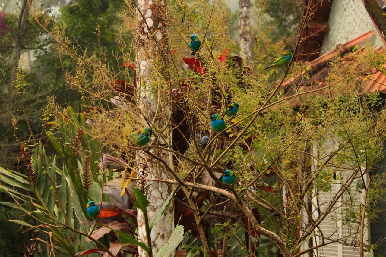 Quarto Varanda - Residencia Gaia Itatiaia อิตาชายยา ภายนอก รูปภาพ